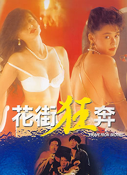 官能小説